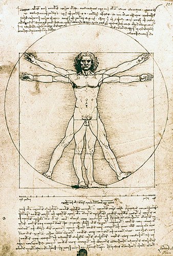 Painting -Vitruvian Man- or -Anatomical Study-, Leonardo da Vinci
