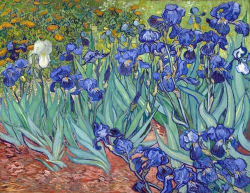 Flower Painting - Irises, 1889, Vincent Van Gogh