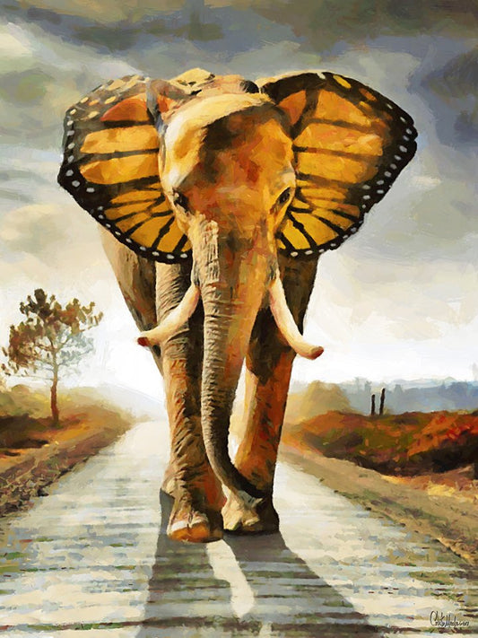 Painting -Modern CFM12366-, Celito Medeiros