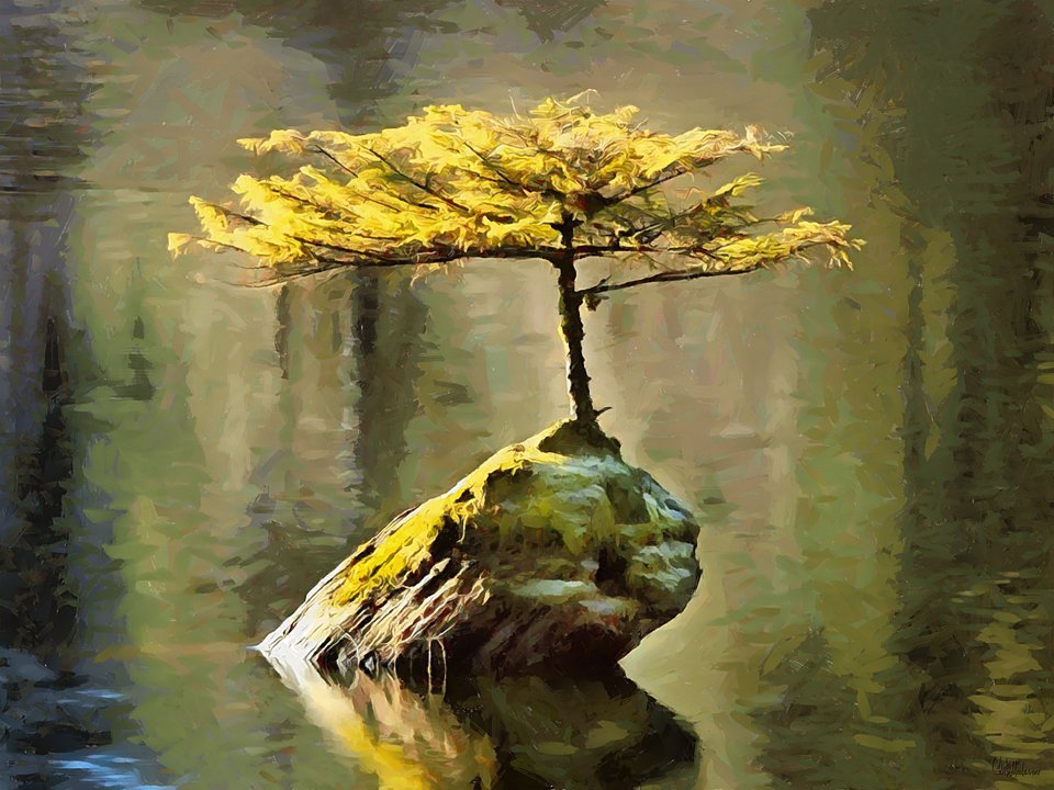 Painting -Modern CFM19133-, Celito Medeiros